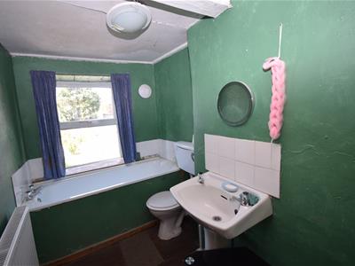 Picture 11